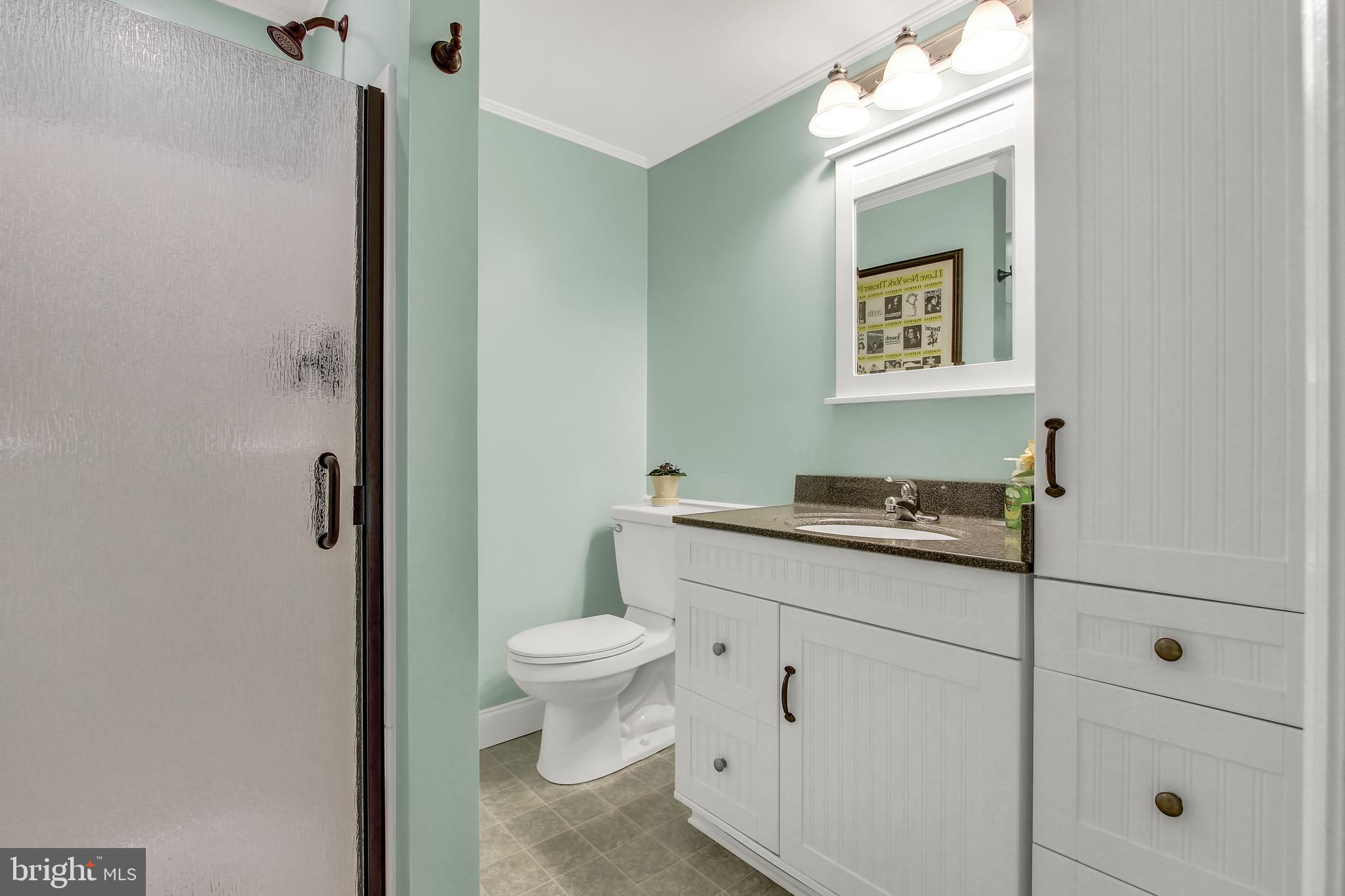 4 Silver Mine Road Conestoga, PA 17516 - Photo 26 of 39 Lower Level Full Bathroom