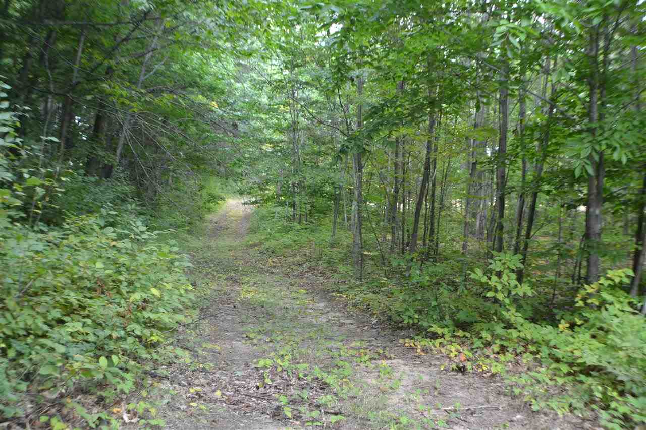 19631 Lindy Road Copemish, MI 49625 - Photo 2 of 14 1790714-1.JPG