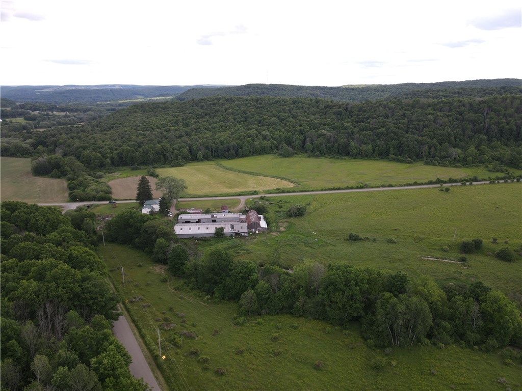 Lot 12 Beebe Hill Road Cuba, NY 14727 - Photo 5 of 13