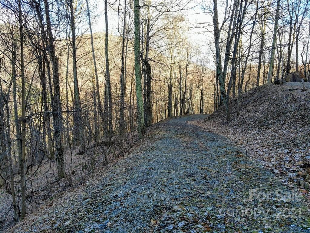 0 Ramp Patch Lane, Unit 137 Waynesville, NC 28786 - Photo 8 of 19 Gallery Image 8