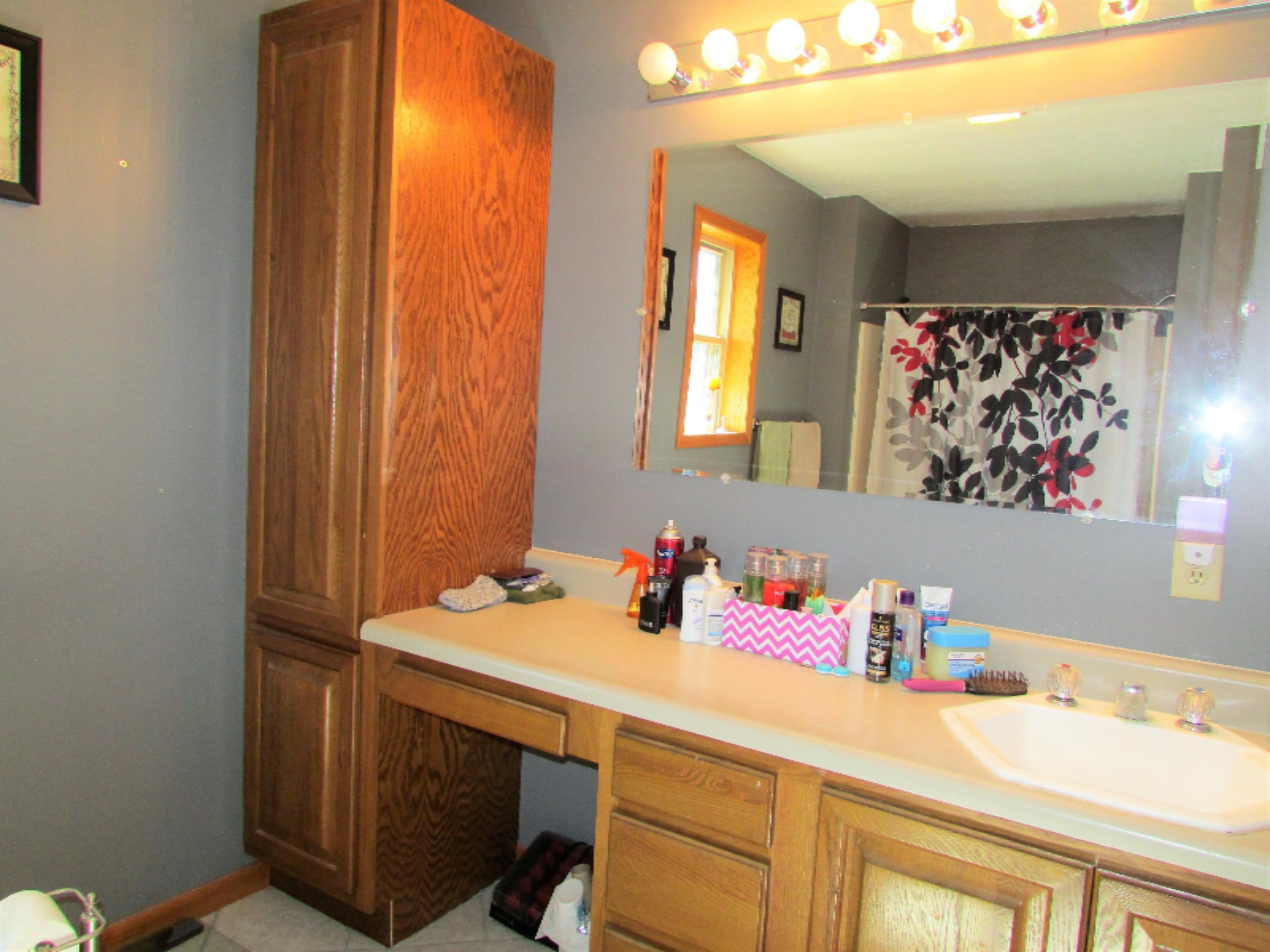 670 West Adams Road Bronson, MI 49028 - Photo 10 of 23 IMG_6809