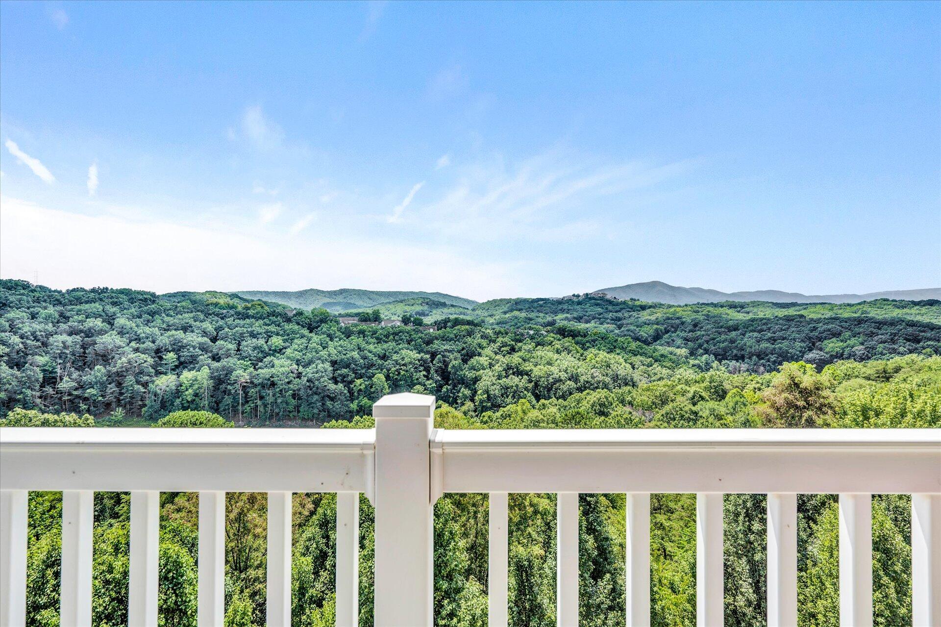 4438 Pheasant Ridge Road, Unit 303 Roanoke, VA 24014 - Photo 25 of 43 25-DSC7598