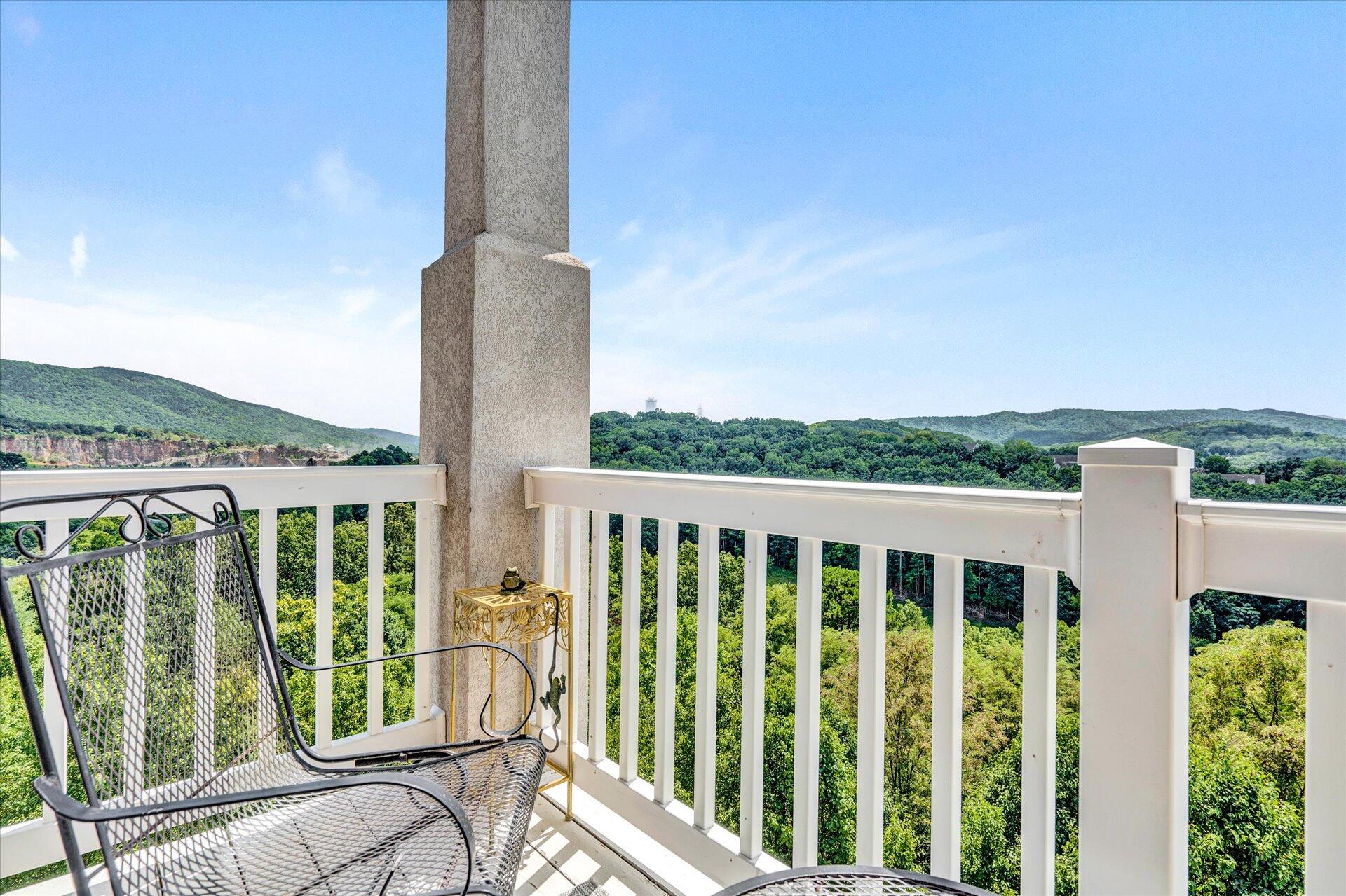 4438 Pheasant Ridge Road, Unit 303 Roanoke, VA 24014 - Photo 26 of 43 26-DSC7601