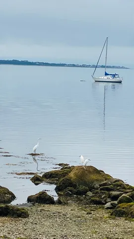 $999,988 | 17 Turner Avenue, Fairhaven, MA 02719