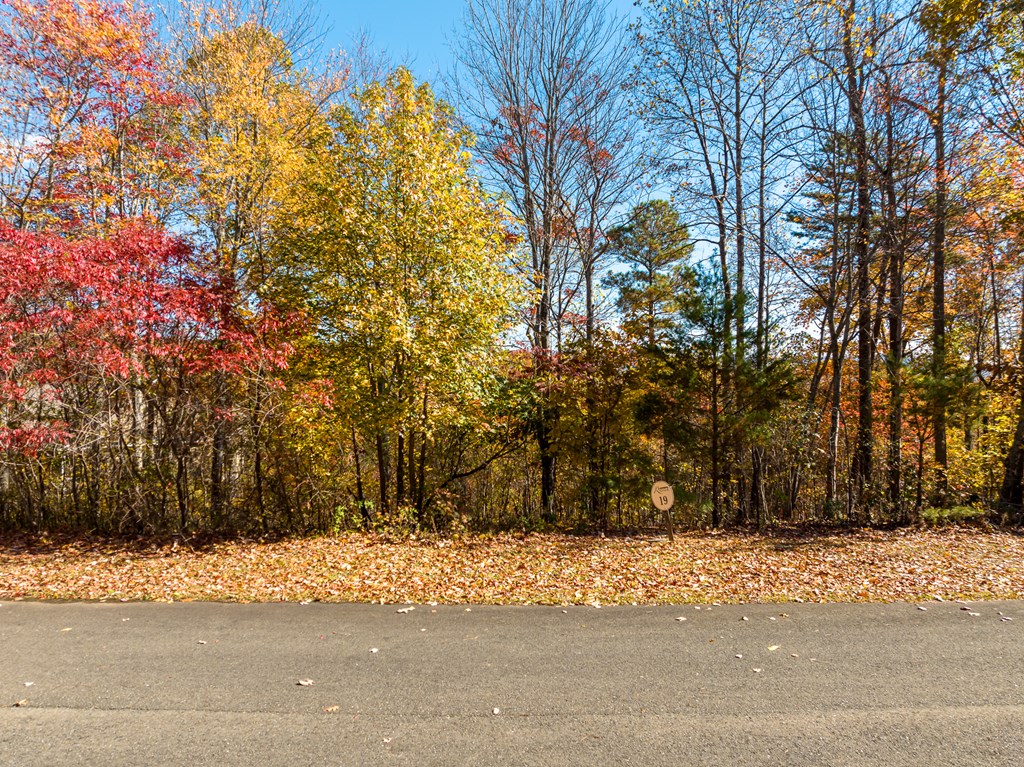 328 Ridgeline Road Jasper, GA 30143 - Photo 3 of 7 a view of road with trees