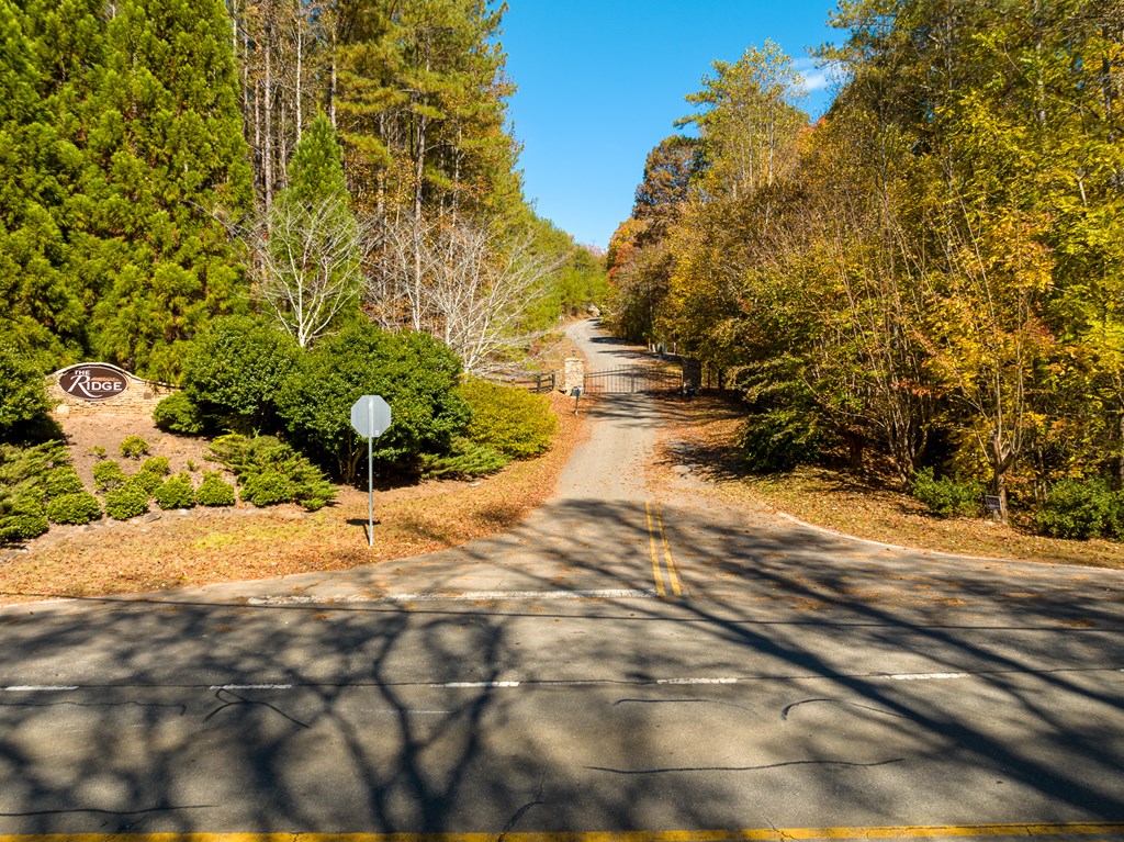 328 Ridgeline Road Jasper, GA 30143 - Photo 6 of 7 a view of a yard with plants and trees