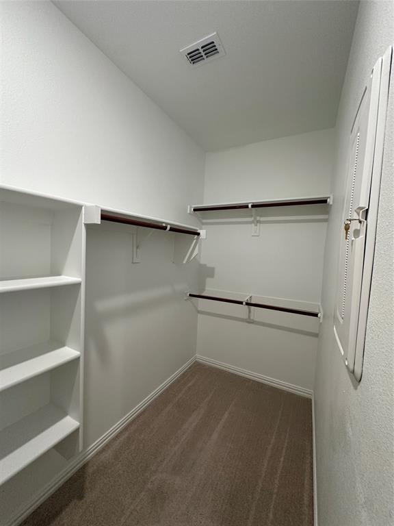 1462 Everett Gdns Way Forney, TX 75126 - Photo 10 of 14 Walk in closet with dark colored carpet