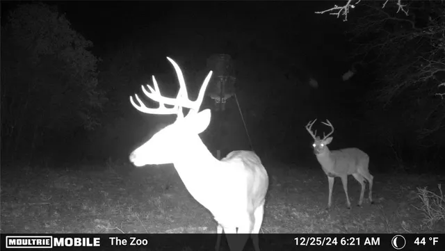 $2,418,000 | 1992 Sand Flat Road, Jacksboro, TX 76458