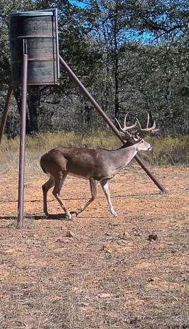 $2,418,000 | 1992 Sand Flat Road, Jacksboro, TX 76458