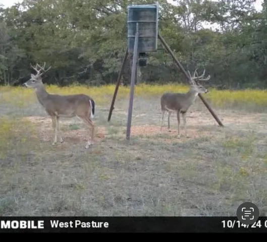 $2,418,000 | 1992 Sand Flat Road, Jacksboro, TX 76458