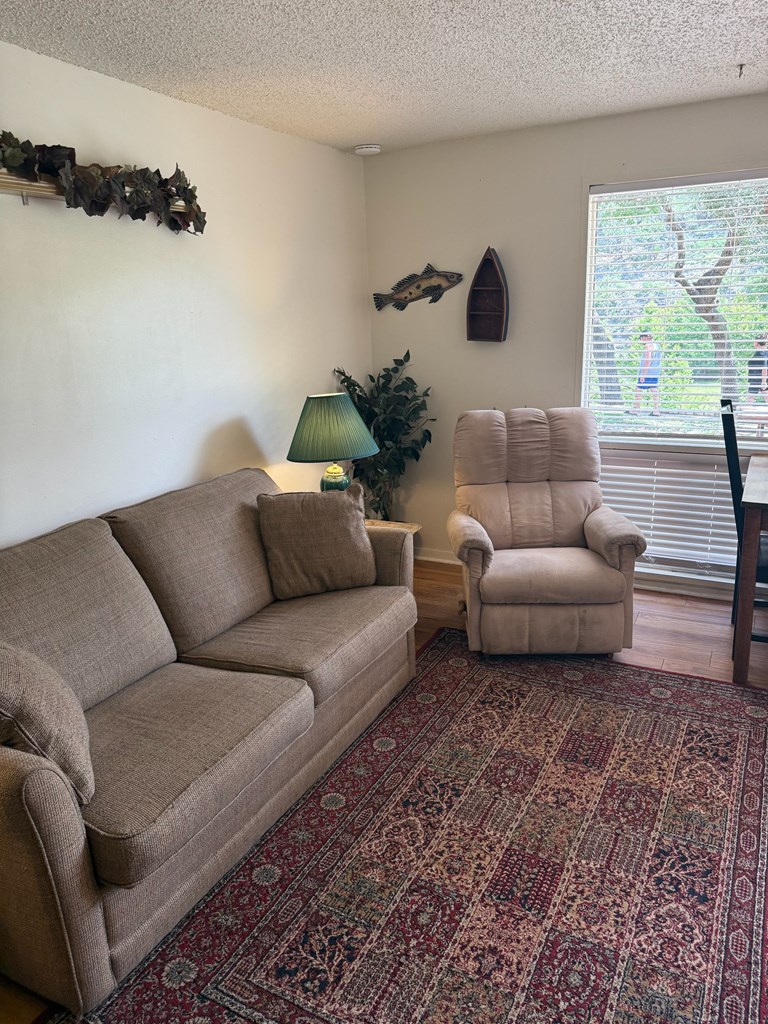 2960 Highway 39 Hunt, TX 78024 - Photo 6 of 23 a living room with furniture and a large window