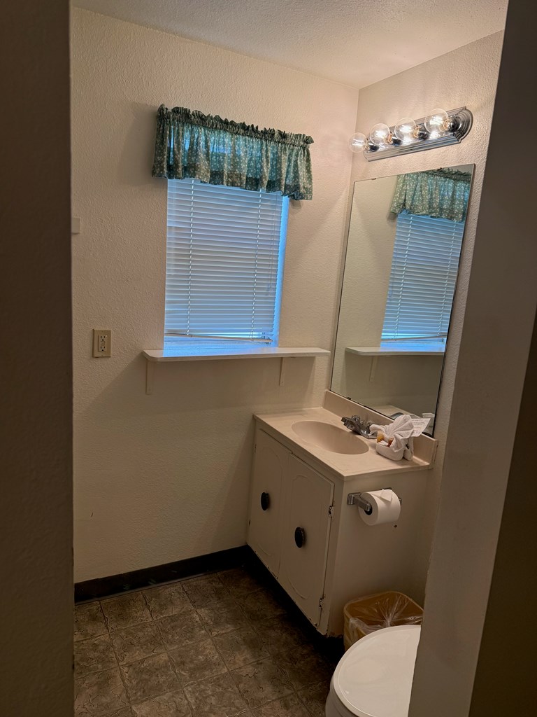 2960 Highway 39 Hunt, TX 78024 - Photo 9 of 23 a bathroom with a sink a toilet and mirror