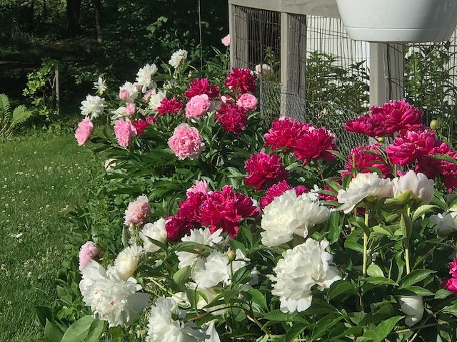 3000 Webb Road Binghamton, NY 13903 - Photo 45 of 50 Gallery Image 45