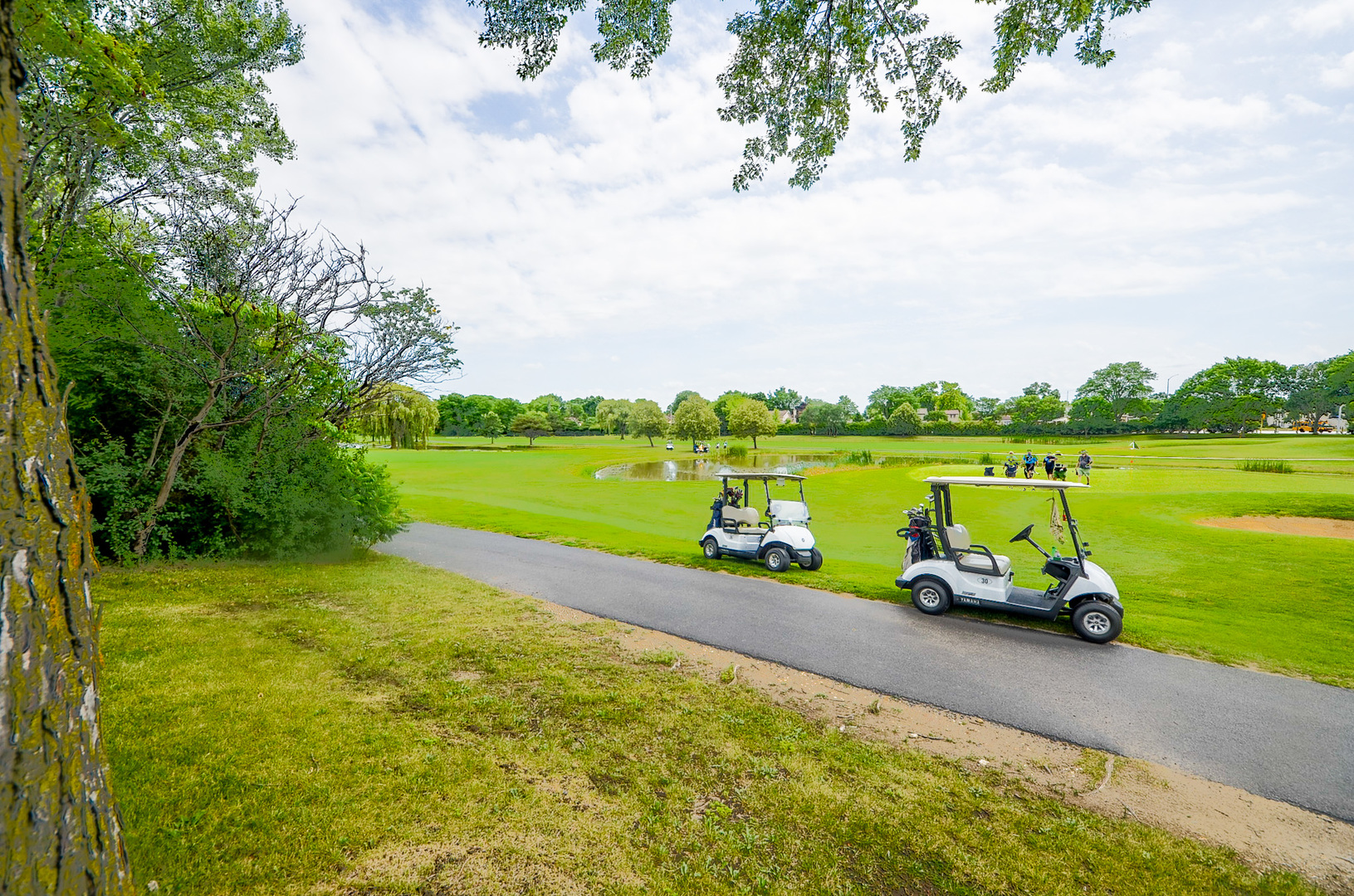 1206 South New Wilke Road, Unit 108 Arlington Heights, IL 60005 - Photo 21 of 21 a view of a lake with houses