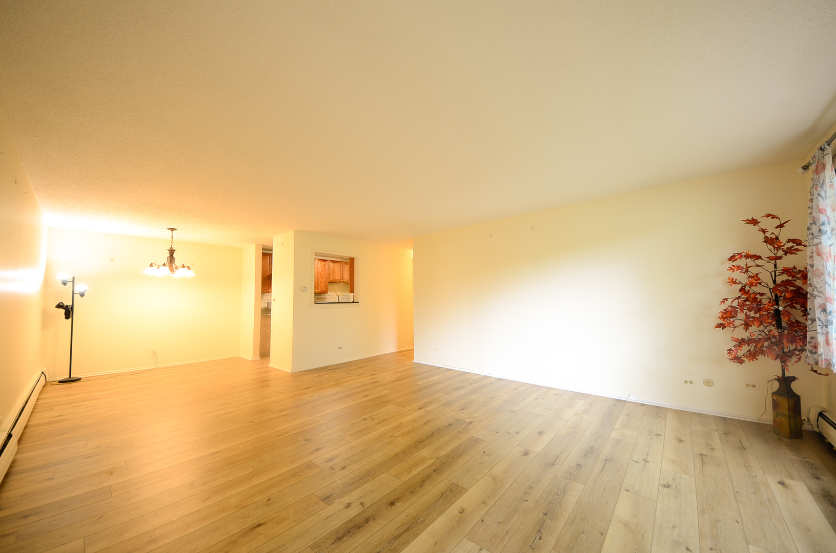1206 South New Wilke Road, Unit 108 Arlington Heights, IL 60005 - Photo 4 of 21 a view of a big room with wooden floor and a potted plant