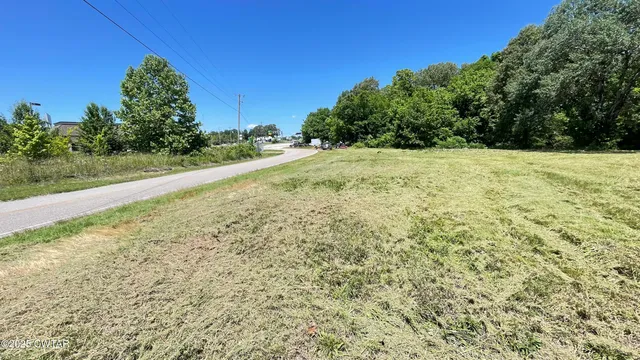 a view of a yard with an trees