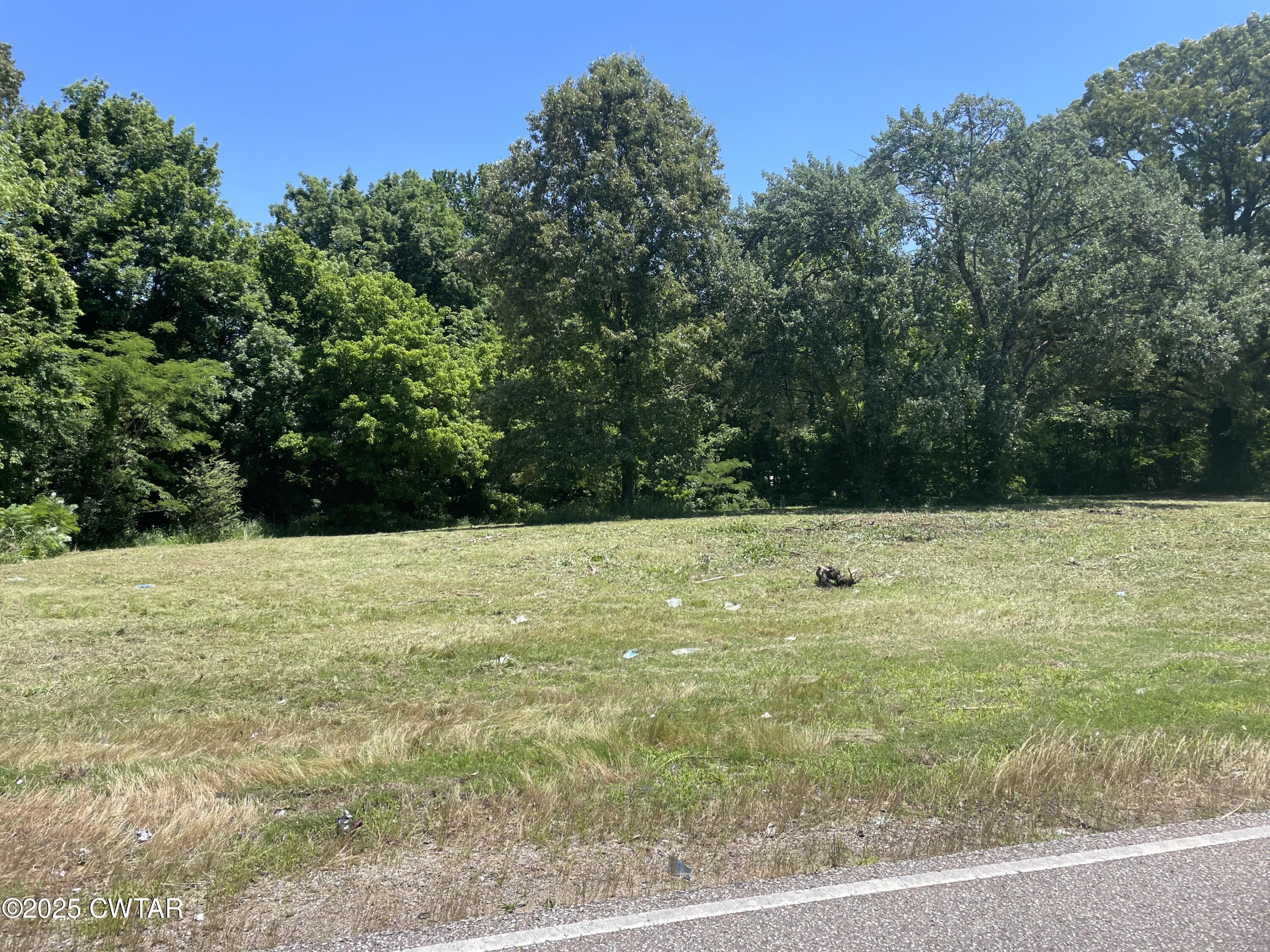 19 Mason Road Humboldt, TN 38343 - Photo 4 of 10 a view of outdoor space and yard