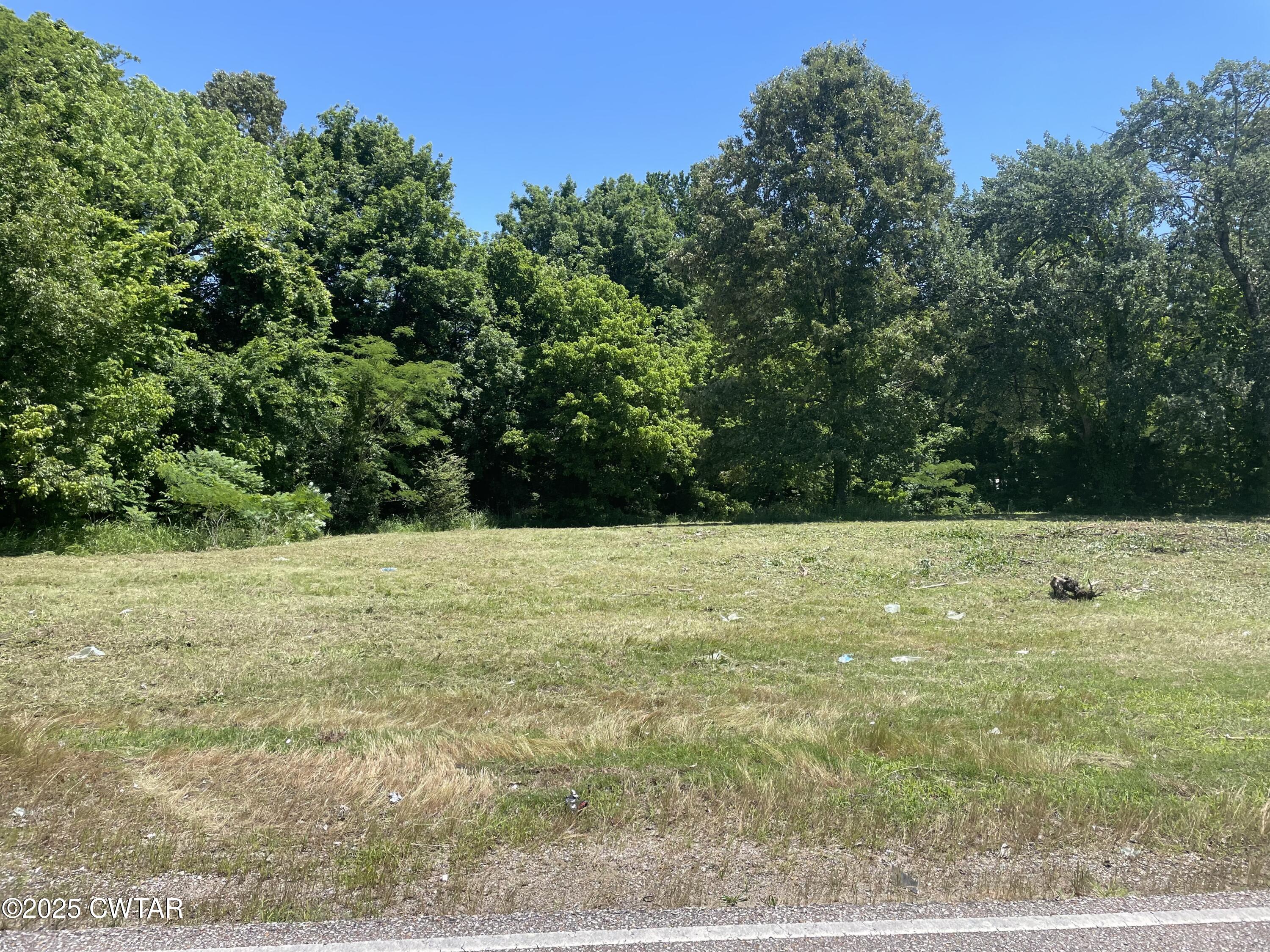 19 Mason Road Humboldt, TN 38343 - Photo 5 of 10 a view of a yard
