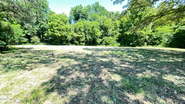 a view of yard with green space