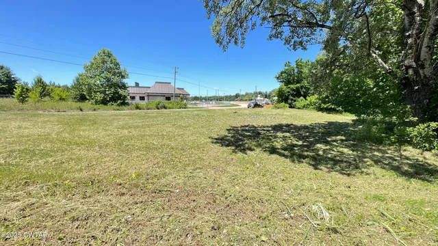 a big yard with lots of green space