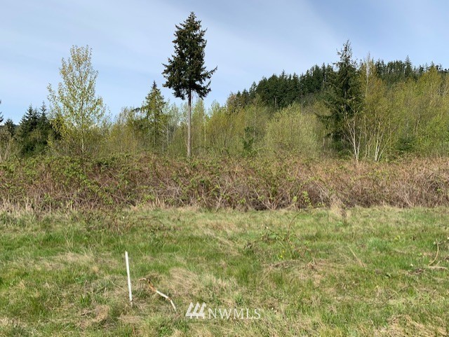22 Benson Ridge Mount Vernon, WA 98274 - Photo 3 of 3
