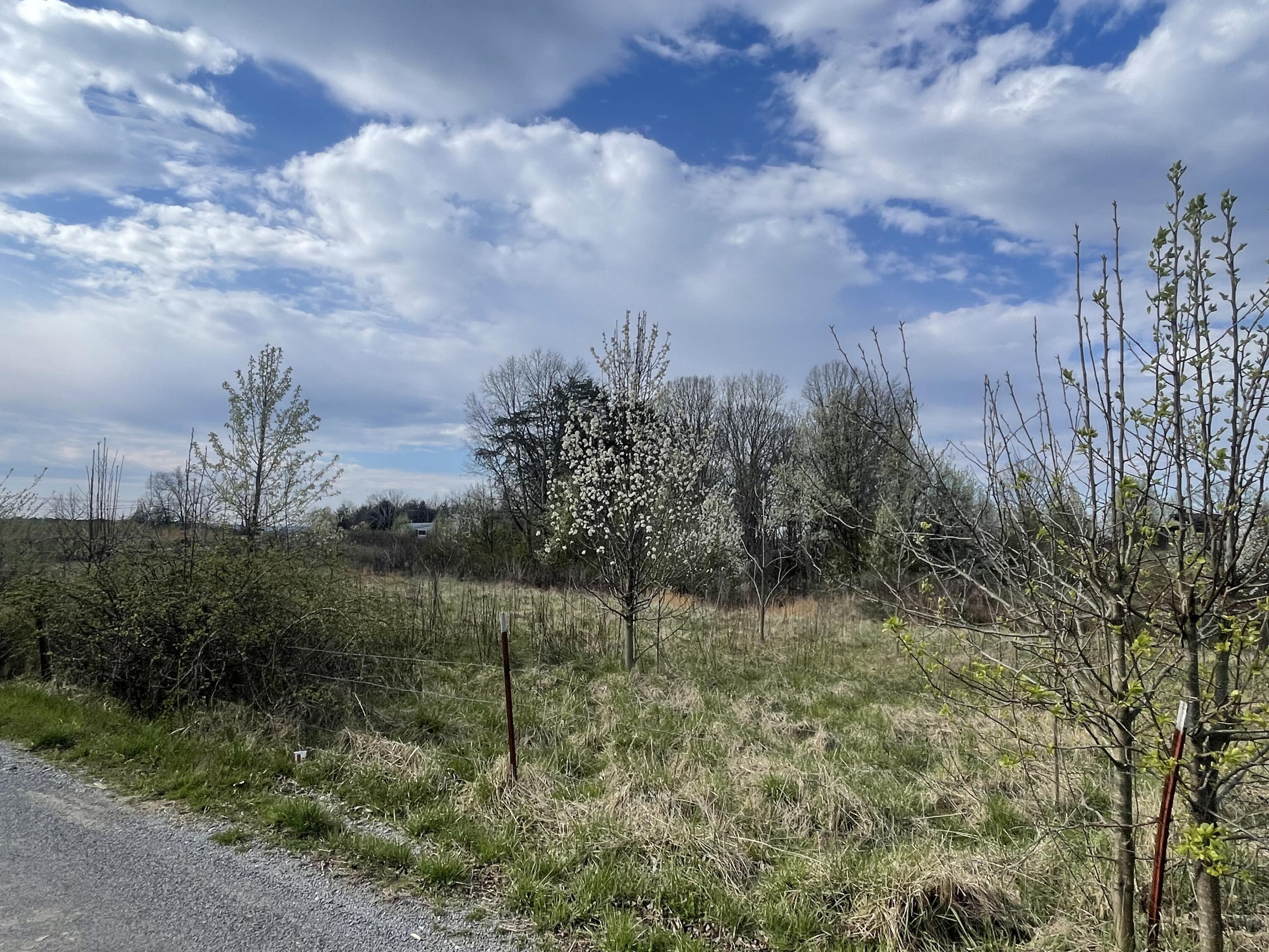 2 Watson Loop Pikeville, TN 37367 - Photo 11 of 11 IMG_5121