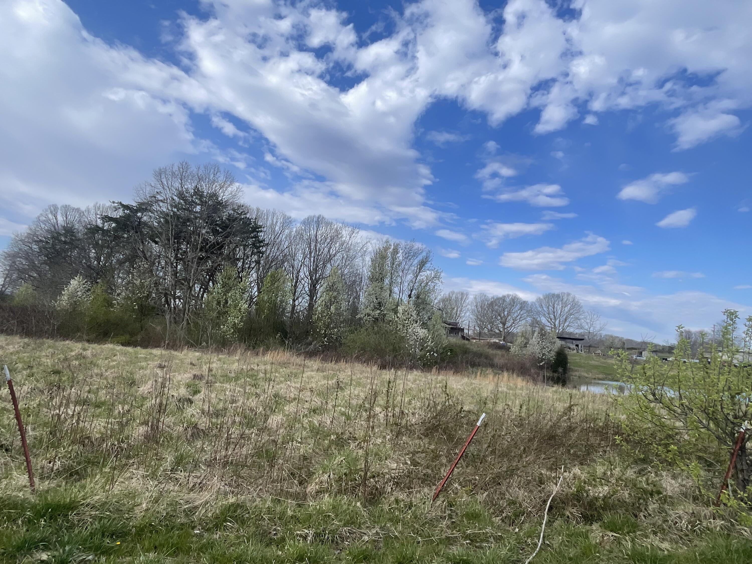 2 Watson Loop Pikeville, TN 37367 - Photo 2 of 11 IMG_5117