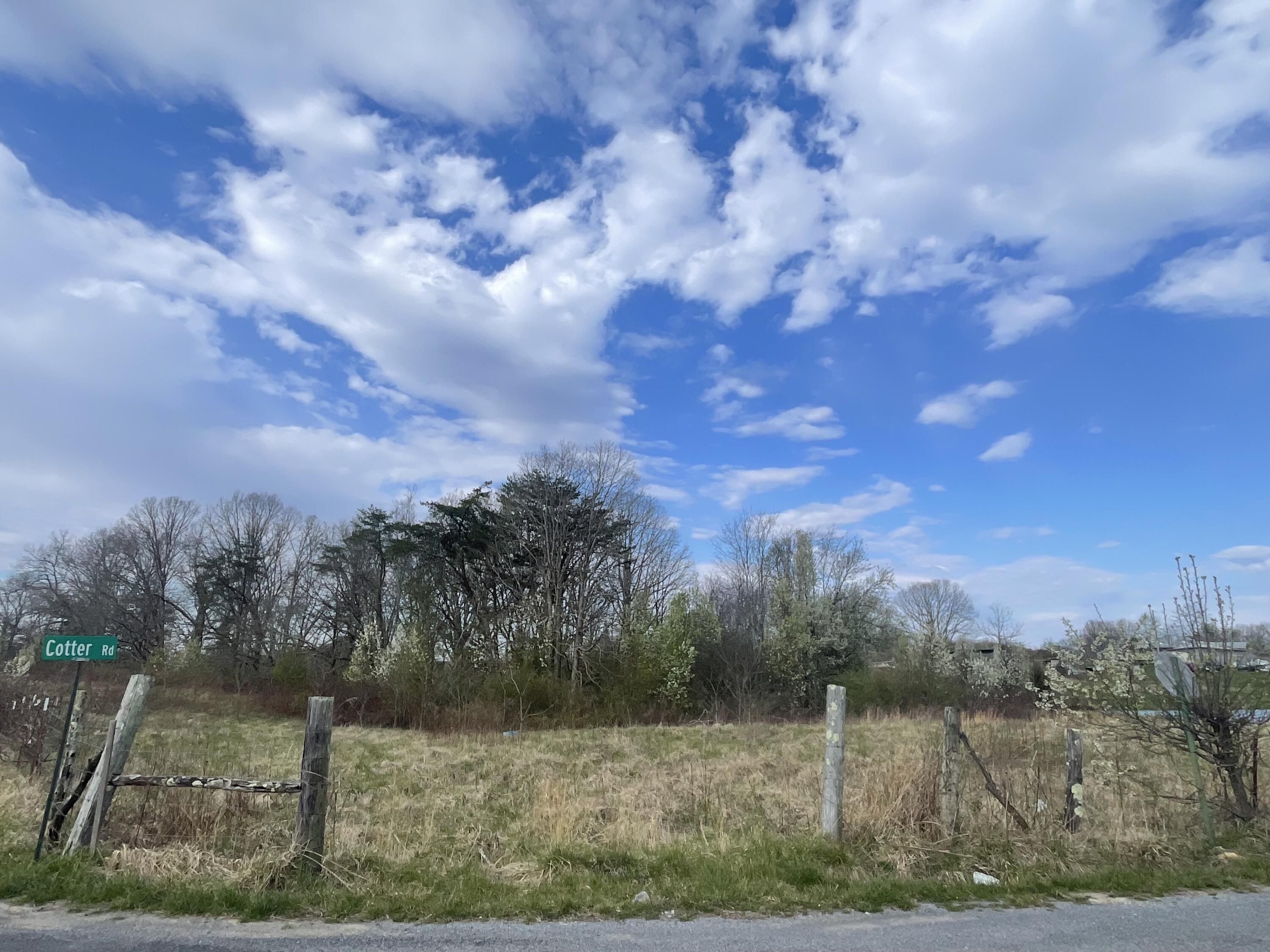 2 Watson Loop Pikeville, TN 37367 - Photo 3 of 11 IMG_5116