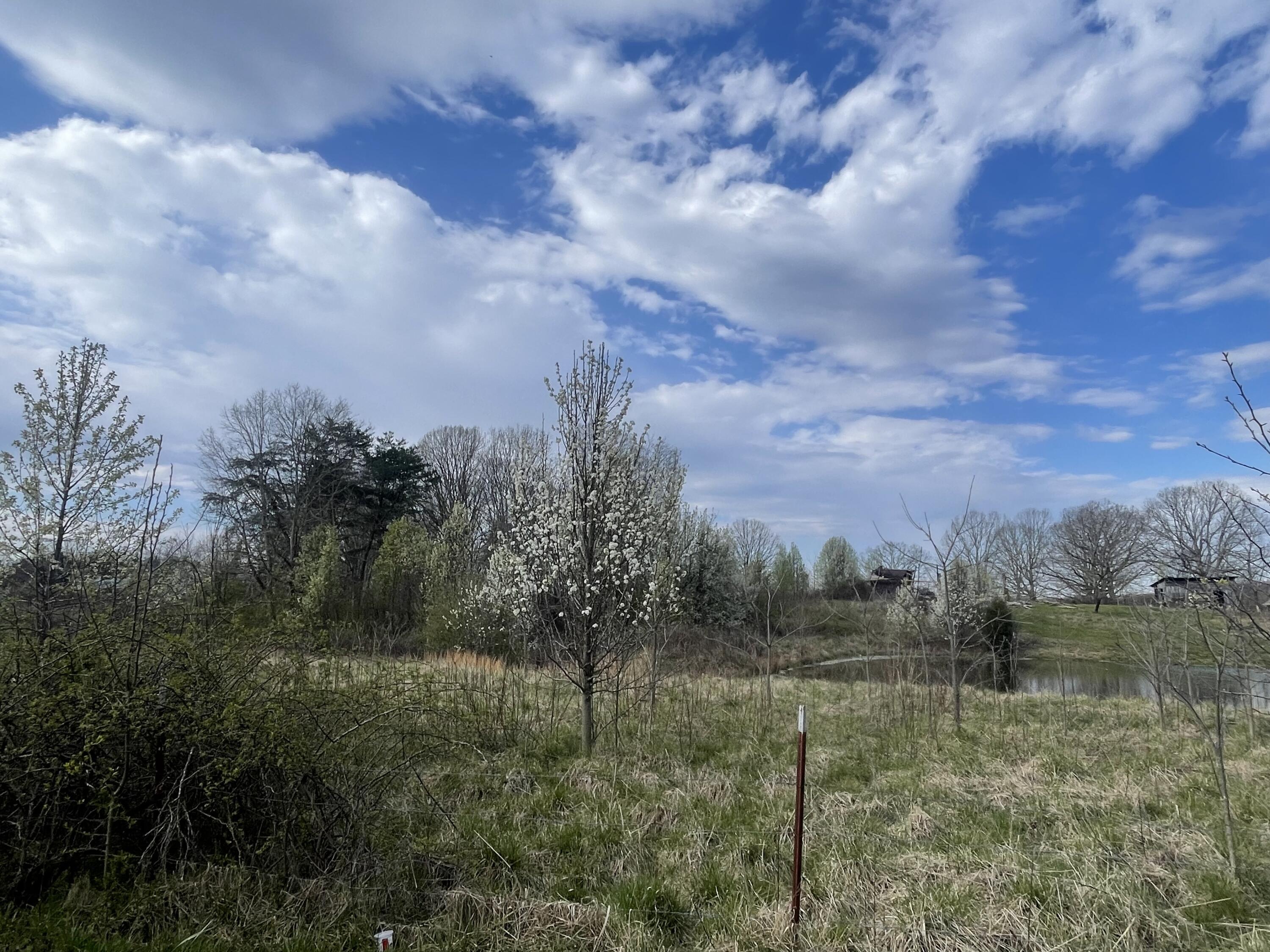 2 Watson Loop Pikeville, TN 37367 - Photo 4 of 11 IMG_5120