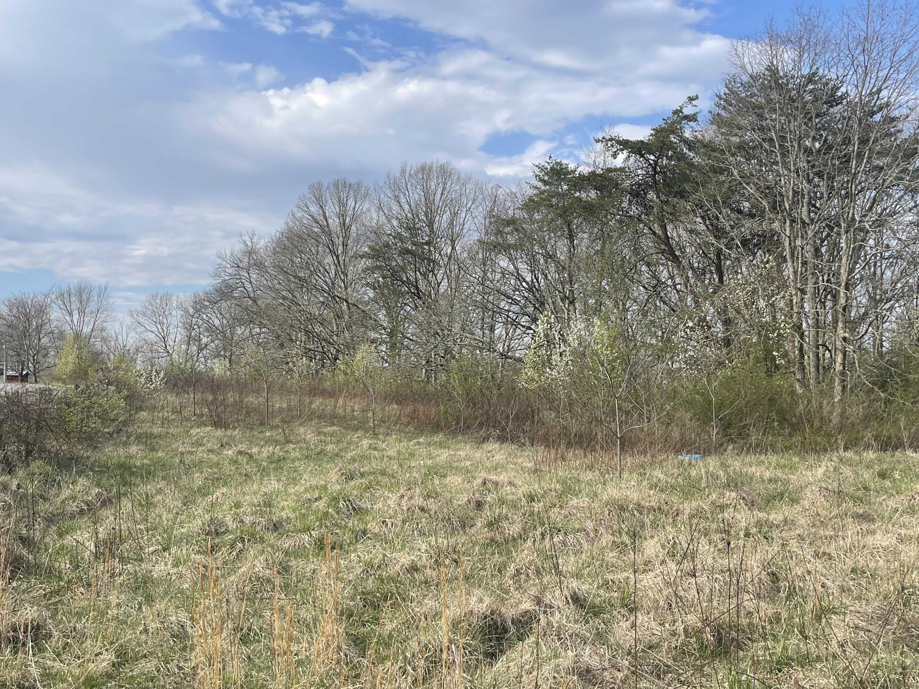 2 Watson Loop Pikeville, TN 37367 - Photo 5 of 11 IMG_5123