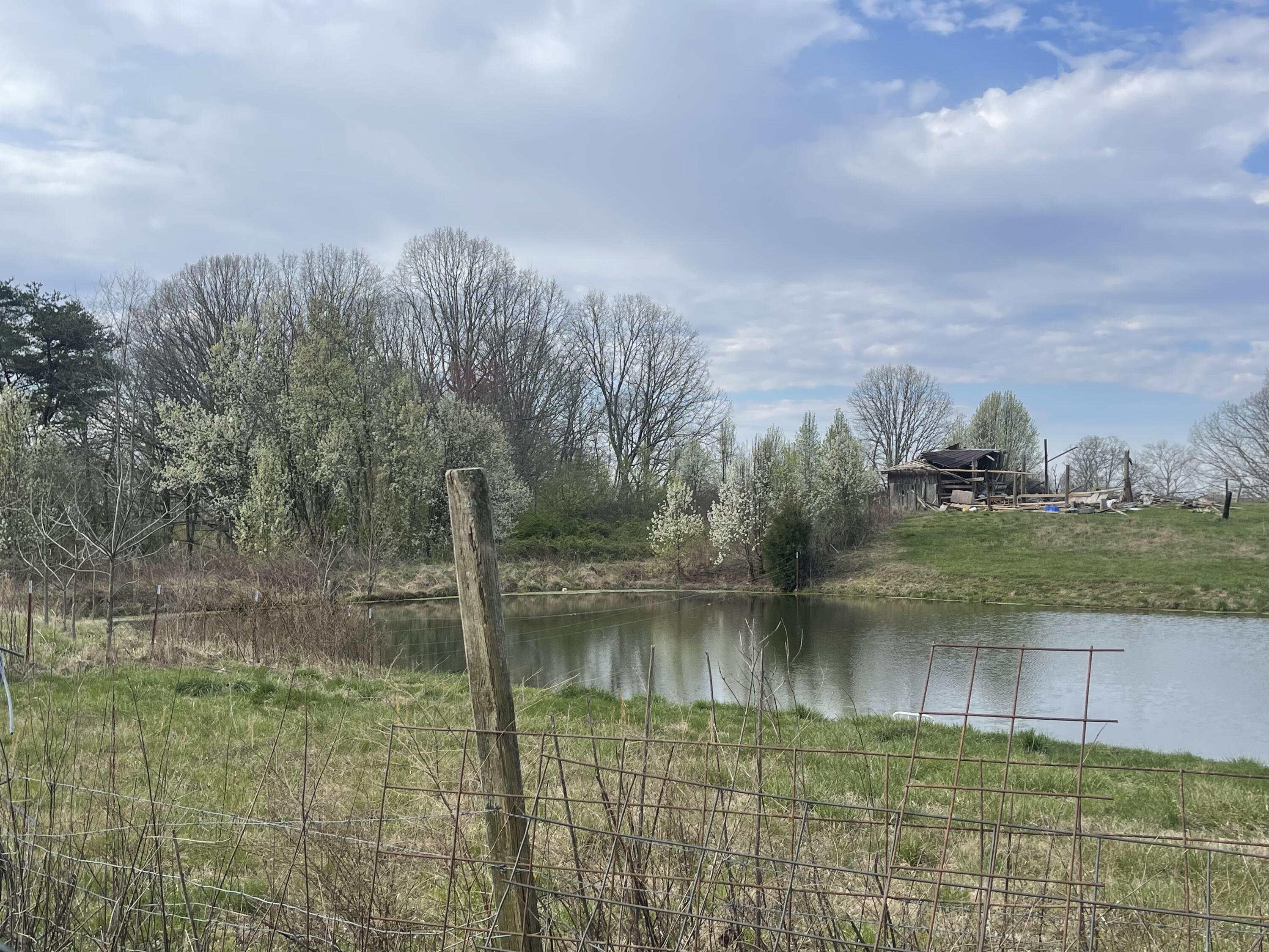 2 Watson Loop Pikeville, TN 37367 - Photo 6 of 11 IMG_5122