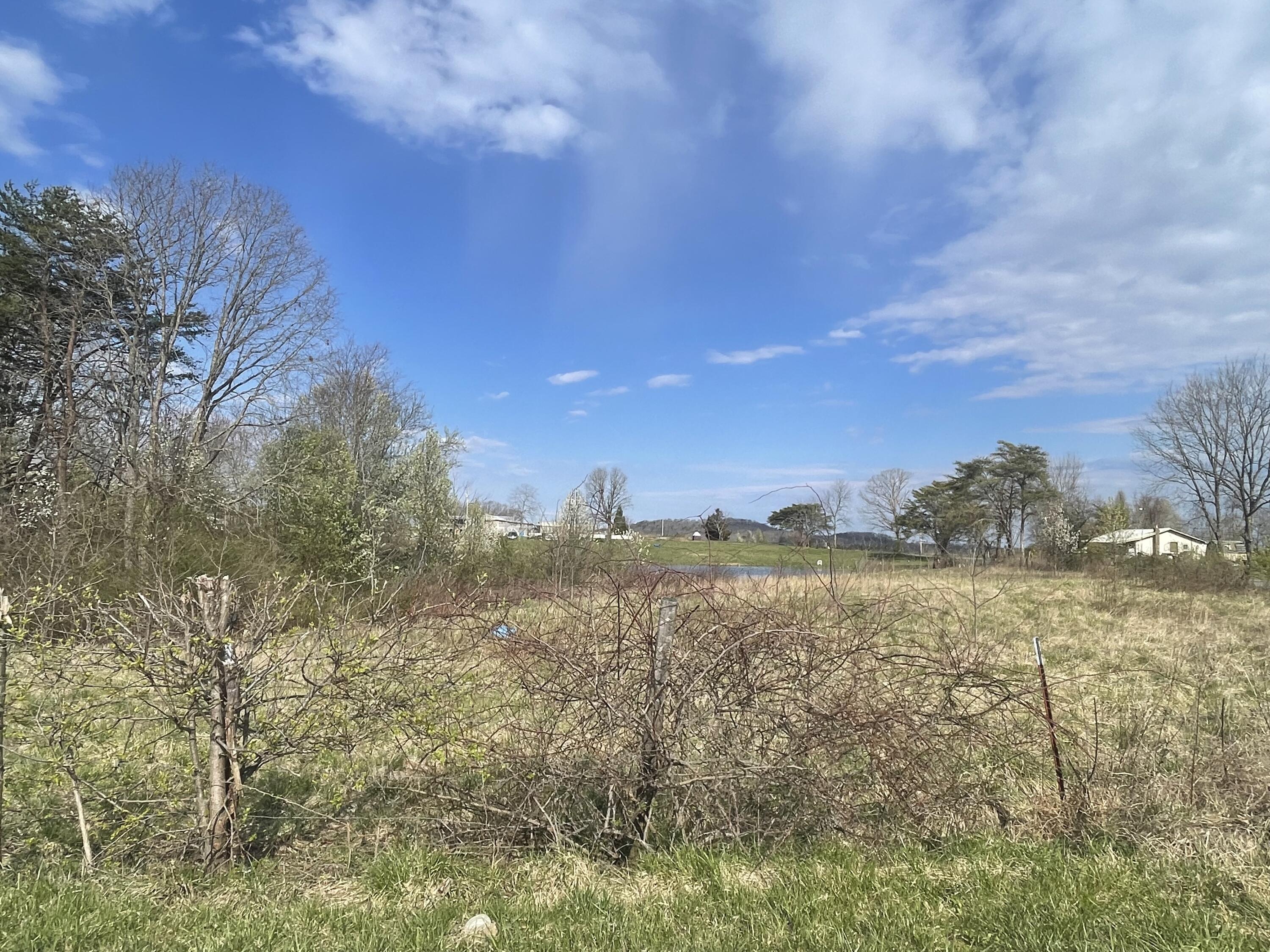 2 Watson Loop Pikeville, TN 37367 - Photo 8 of 11 IMG_5126