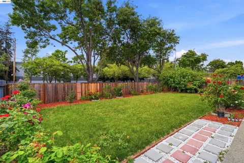 a view of a backyard with potted plants and large tree