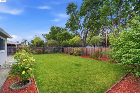 a view of yard with green space