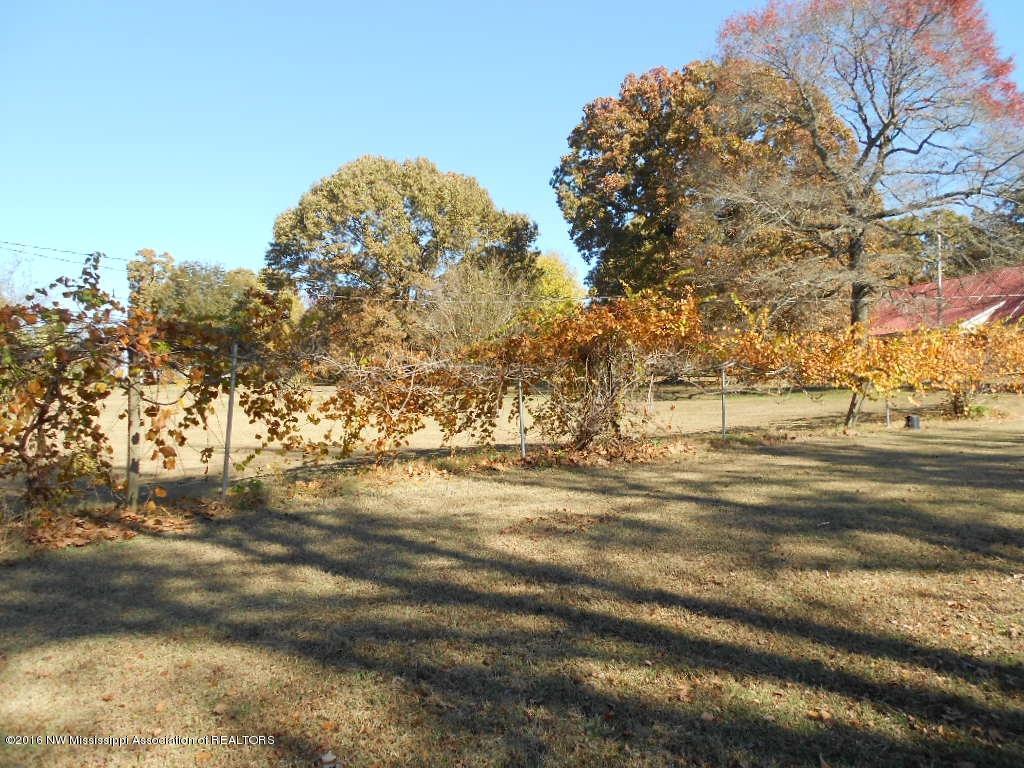 176 Wildwood Road Holly Springs, MS 38635 - Photo 5 of 28 DSCN6833