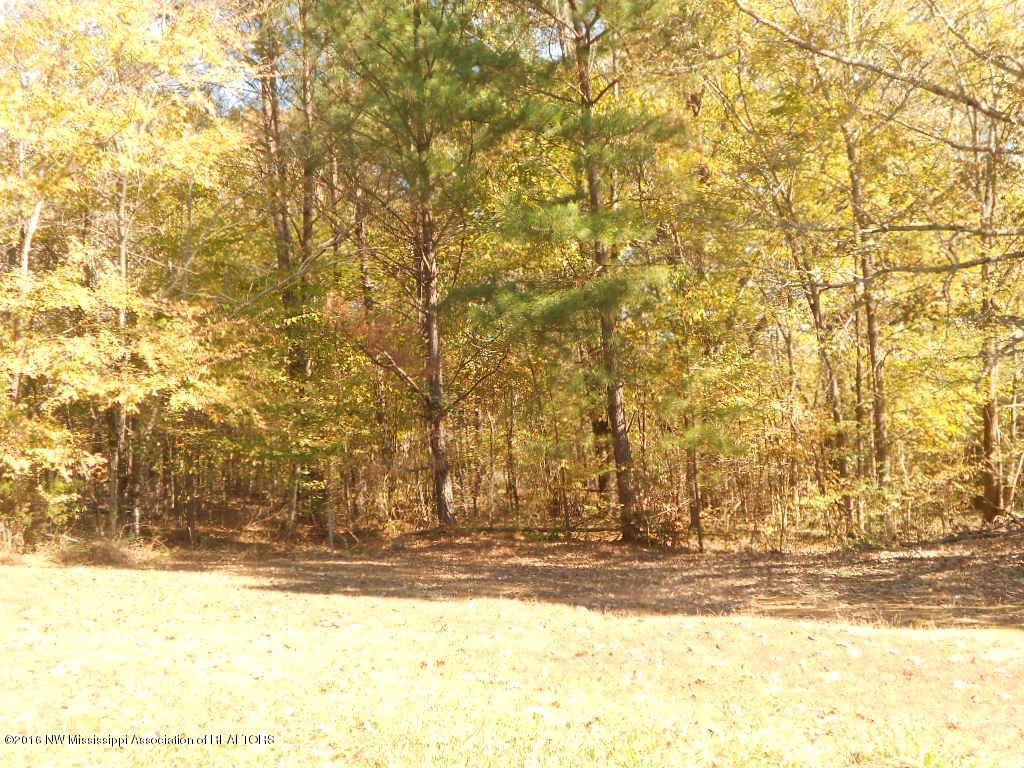 176 Wildwood Road Holly Springs, MS 38635 - Photo 8 of 28 DSCN6837