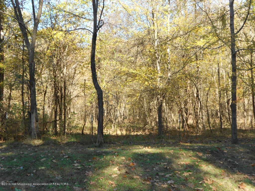 176 Wildwood Road Holly Springs, MS 38635 - Photo 9 of 28 DSCN6839