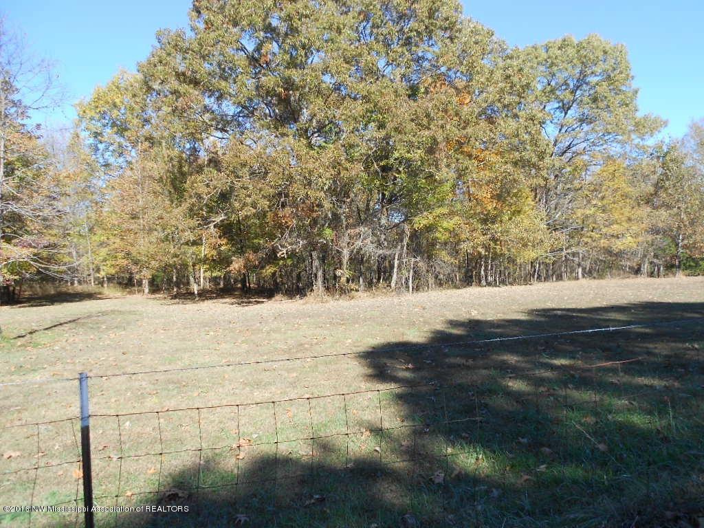 176 Wildwood Road Holly Springs, MS 38635 - Photo 10 of 28 DSCN6840