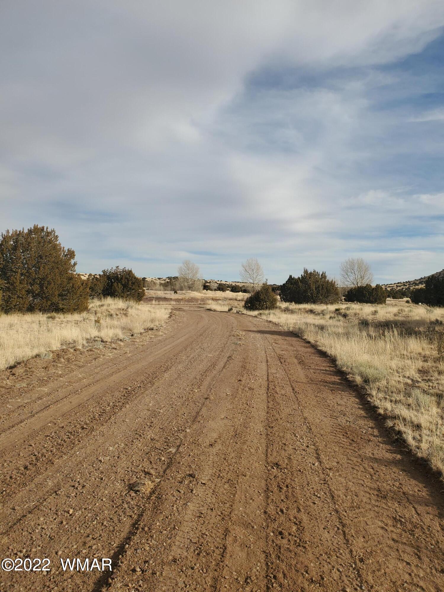37 County Road Concho, AZ 85924 - Photo 3 of 3