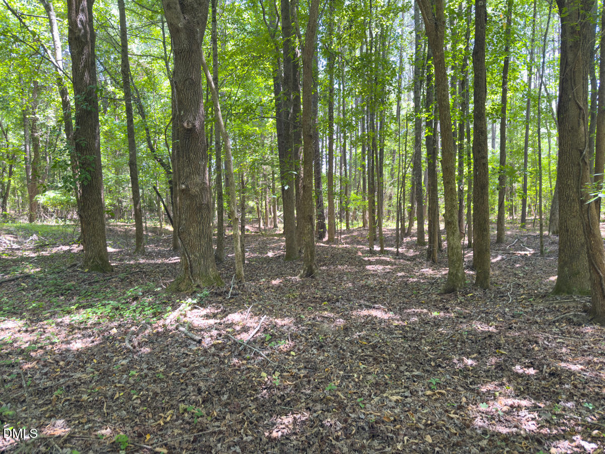 0 Mt Pleasant Church Road Manson, NC 27553 - Photo 28 of 43