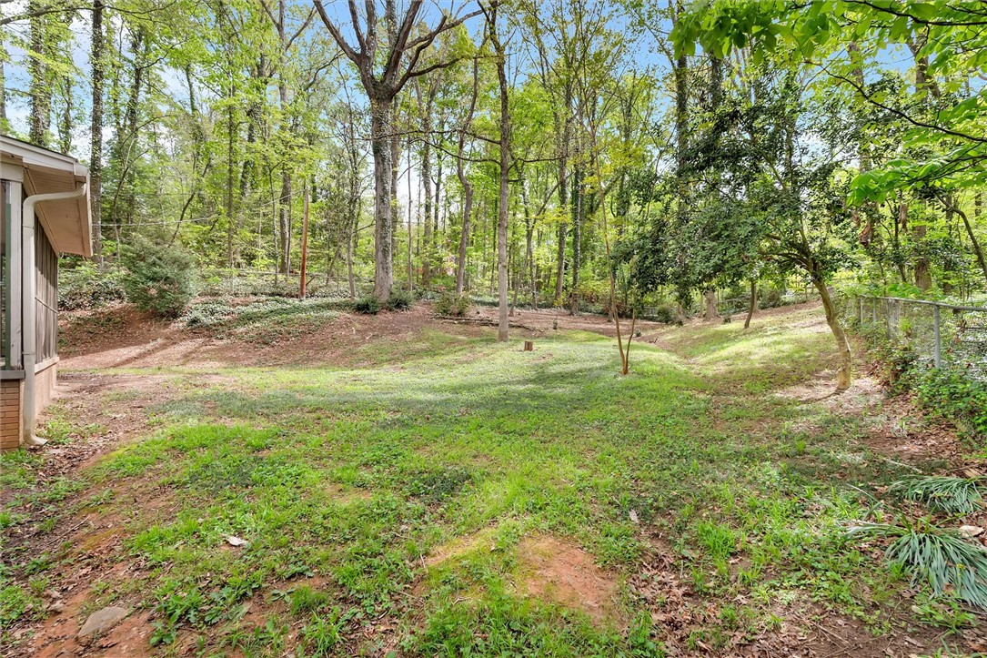 106 Mitchell Avenue Clemson, SC 29631 - Photo 25 of 31 This verdant outdoor space offers a serene backdrop, perfect for enjoying nature's tranquility.