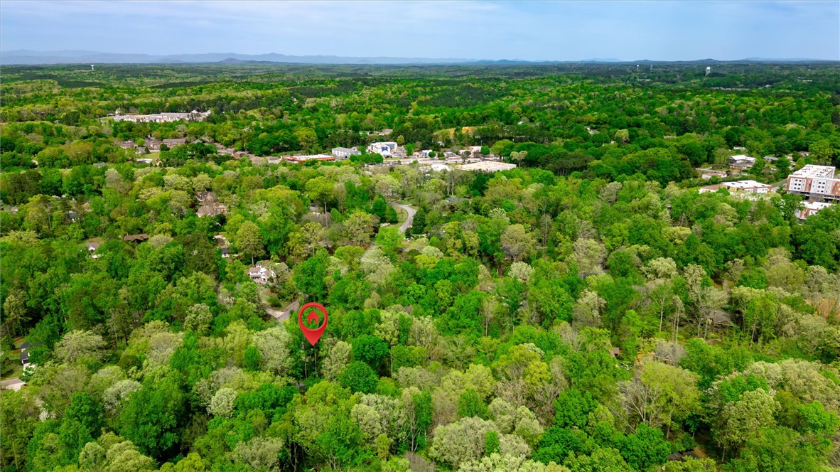 106 Mitchell Avenue Clemson, SC 29631 - Photo 30 of 31