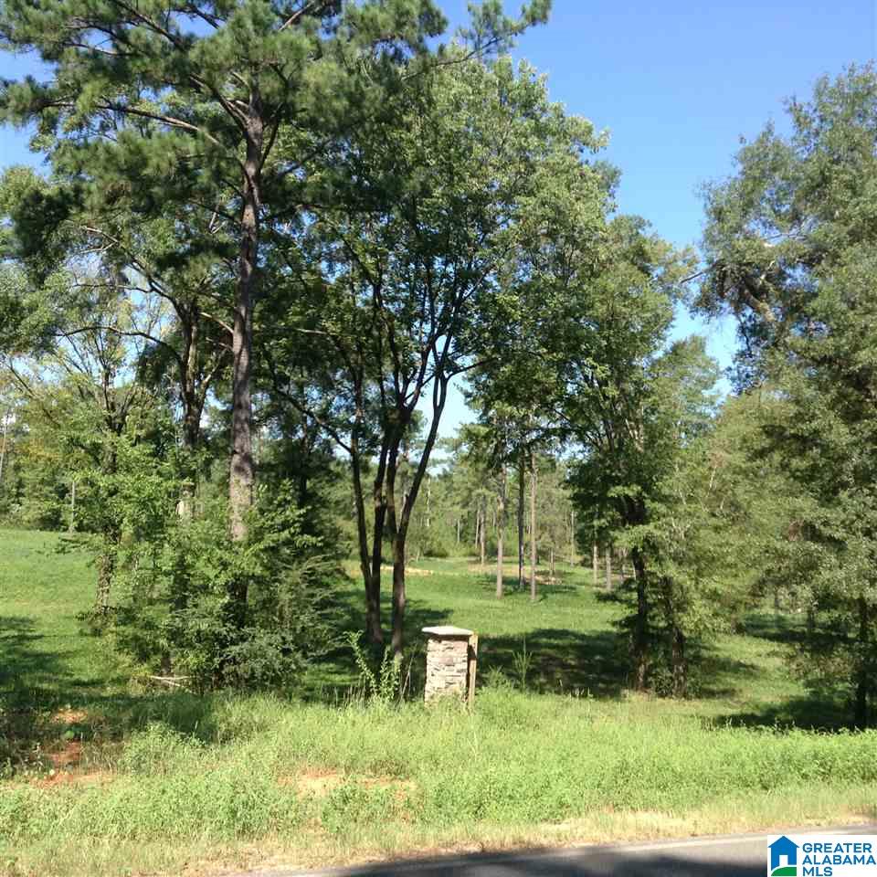 19 Highway Montevallo Al Montevallo, AL 35115 - Photo 7 of 9