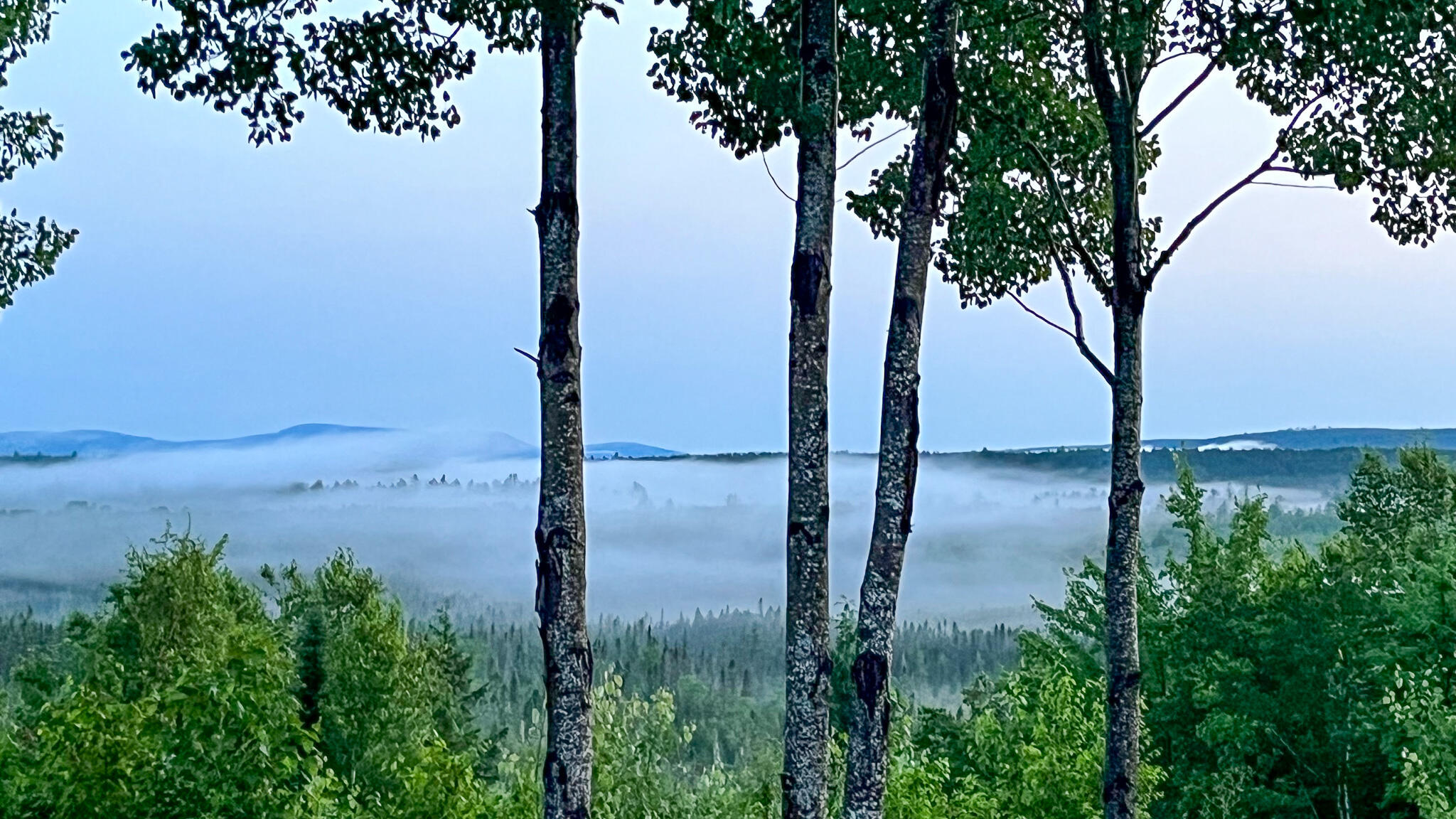 1218 Upper Dobsis Road Lakeville, ME 04487 - Photo 11 of 36 IMG_5493