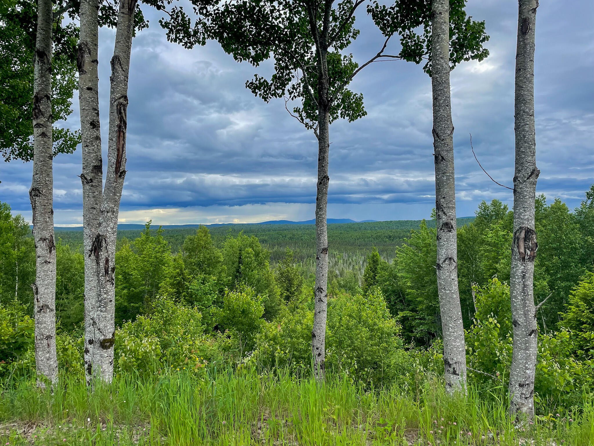 1218 Upper Dobsis Road Lakeville, ME 04487 - Photo 7 of 36 IMG_6026