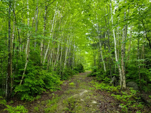 $499,900 | 1218 Upper Dobsis Road, Lakeville, ME 04487