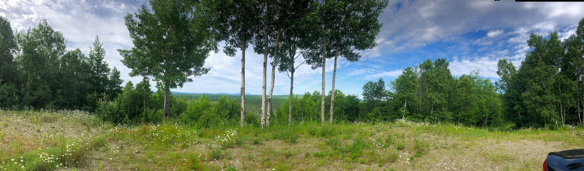 1218 Upper Dobsis Road Lakeville, ME 04487 - Photo 9 of 36 IMG_2752