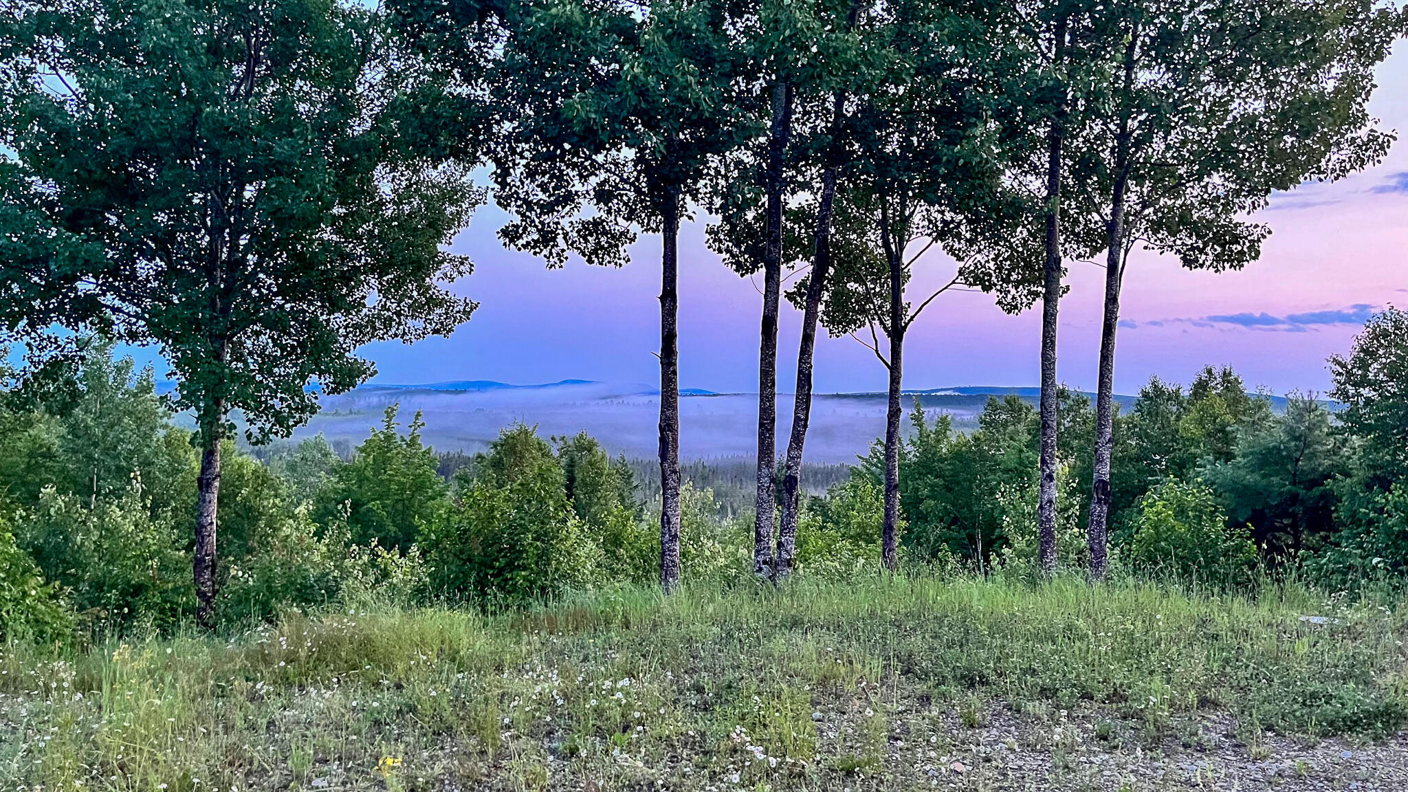 1218 Upper Dobsis Road Lakeville, ME 04487 - Photo 10 of 36 IMG_5491