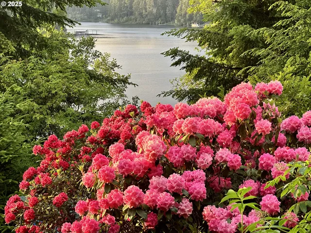 a bunch of flowers with white flowers