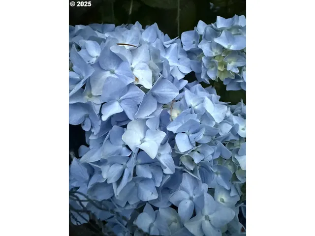 $175,000 | 3196 South Tenmile, Lakeside, OR 97449